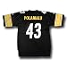 Apparel : Troy Polamalu Pittsburgh Steelers Black NFL Replica Jersey