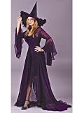 Purple Classic Witch Shimmering Rose Cosume Sheer Dress Halloween Costume