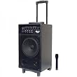 300-Watt Battery Powered PA System With Wireless Mic