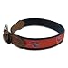 University of Houston Cougars Web & Leather Belt