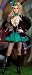 Alice in Wonderland Supreme Mischievous Adult Mad Hatter Costume (Small)