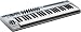 Musical Instruments : E-MU Xboard 49 Professional 49-Key USB/Midi Controller Keyboard