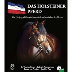Das Holsteiner Pferd: Die Erfolgsgeschichte der Sportpferdezucht zwischen den Meeren