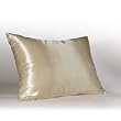 Shop Satin Luxury Standard Satin Pillowcase with Hidden Zipper, Champagne