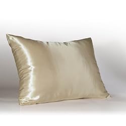 Shop Satin Luxury Standard Satin Pillowcase with Hidden Zipper, Champagne