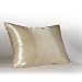 Shop Satin Luxury Standard Satin Pillowcase with Hidden Zipper, Champagne