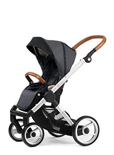 Mutsy EVO Urban Nomad Stroller