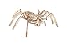 EWA Eco-Wood-Art Model - Spider, 3D Wooden Puzzle, Eco Friendly, DIY Mechanical, Rubber-Band Motor, Self-Assembly Without Glue
