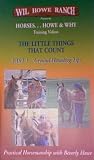 VHS : THE LITTLE THINGS THAT COUNT {PART 1} GROUND HANDLING TIPS, PRACTICAL HORSEMANSHIP WITH BEVERLY HOWE