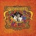 Fillmore Performance: San Francisco 1968