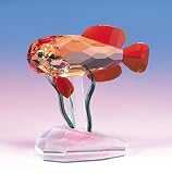 CRYSTAL WORLD Clown Fish