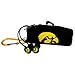 AudioSpice Collegiate Iowa Hawkeyes Scorch Earbuds with Bud Bag