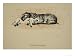 Gratification, 1930, 1st Edition of Sleeping Partners Animal Giclee Poster Print by C...