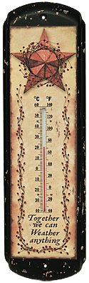 Weather Anything Thermometer