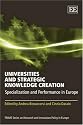 Universities and Strategic Knowledge Creation: Specialisation and Performance in Europe (Prime Series on Research and Innovation Policy in Europe)