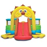 Lion's Den Bounce House with Slide