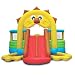 Lion's Den Bounce House with Slide