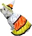 Candy Corn Dog Costume (Size: Small)