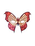 Review Pams  / Eyemask: Mariposa Gold/Red