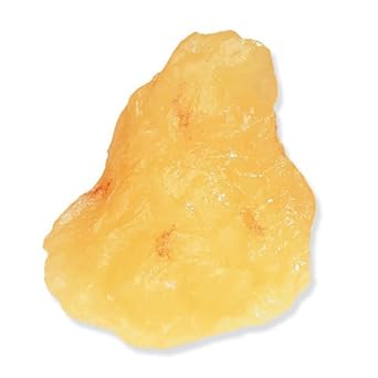 One-Pound Fat Replica 1Lb Fat Model Replica