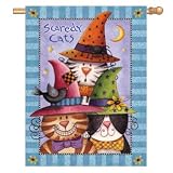 Scaredy Cats by Debra Jordan Bryan