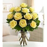 Same Day Flower Delivery One Dozen Long-Stem Yellow Roses