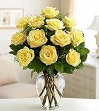 Same Day Flower Delivery One Dozen Long-Stem Yellow Roses