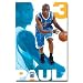 HORNETS - C PAUL 08 WALL POSTER