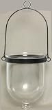 Individually Hand Etched Sand Dollar Glass Candle Lantern 9.5"