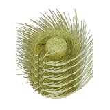 Straw Beachcomber Luau Party Hats (6 Hats, Adult Size)