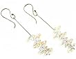Crystel Earrings