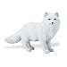 Safari: Arctic Fox