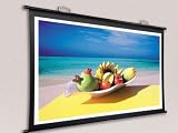 プロジェクタースクリーン 大画面50型(4:3) MPS-101 50インチ