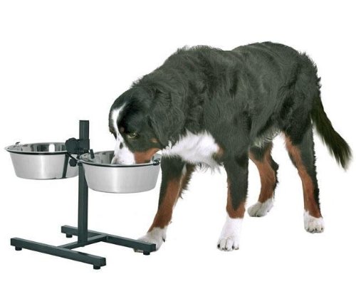 Höhenverstellbare Futterbar Hunde