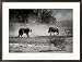 An African Cheetah and a Warthog Kick up Clouds of Dust in a Tense Confrontation Framed Photographic Poster Print by Chris Johns, 29x21