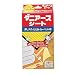 ダニアース シート 4枚入り