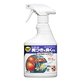 ���i�̏ڍ�