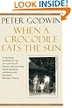 When a Crocodile Eats the Sun