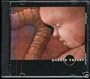 Hybrid Theory EP 6 track CD (before Linkin Park)