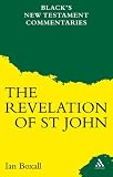 Revelation (Black's New Testament Commentaries) (Black's New Testament Commentaries)