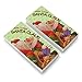 Christmas Holiday Here Comes Santa Claus Graphic Eraser Set of 2