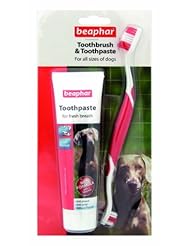 Pet Products: Beaphar Toothbrush and Toothpaste Kit, 100g - BEAMY