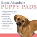 Kitchen & Housewares : ClearQuest Puppy Pads - 100 count