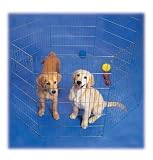 Prec Exercise Pen Silver 36