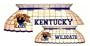 Kentucky Pool Table Lamp