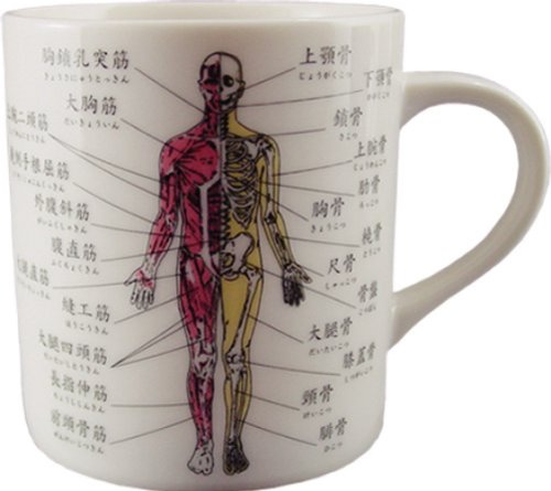 お茶を飲んでるだけなのになんだか頭が良くなるマグカップ 人体 マグカップ DM2575