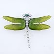 Green Wing Dragonfly Brooch