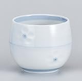 白磁スカシ梅玉湯呑　　5個組　【千茶 美濃焼】 〔キャッシュバックキャンペーン対象商品〕