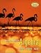 Intermediate Algebra