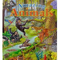 Childrens Toyshop  Toys : Brown Watson Amazing Animals (Hard Back Book)